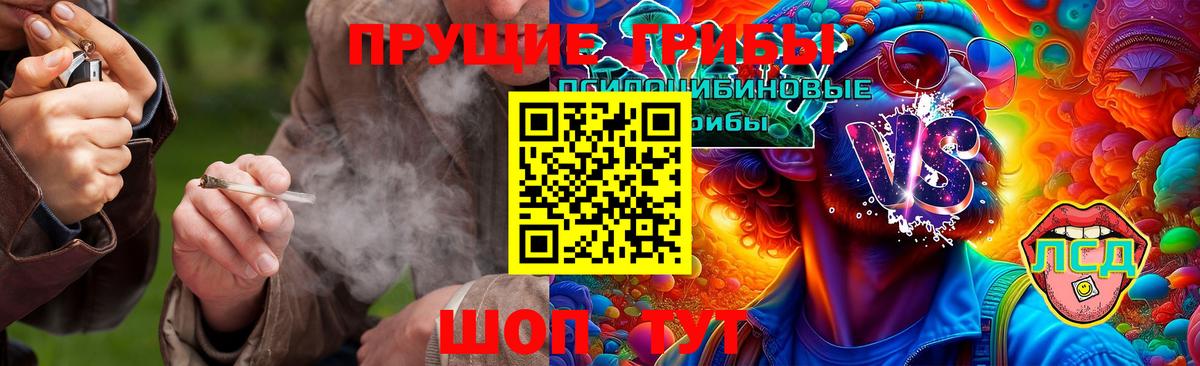 Галлюциногенные грибы GOLDEN TEACHER  Галлюциногенные грибы GOLDEN TEACHER  Керчь  что такое   Вход с VPN 